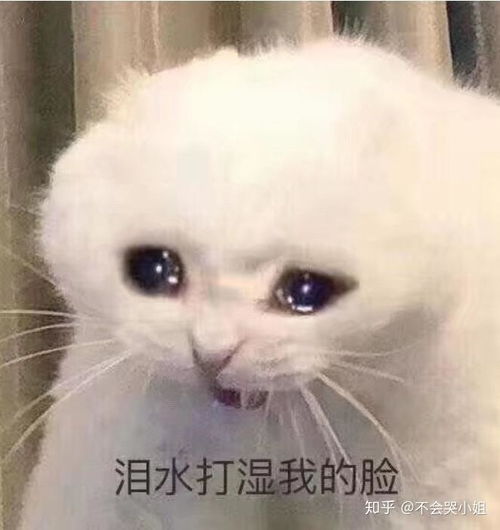  有哪些网恋奔现的翻车现场