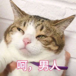  听说复旦大学开了一门似是而非的课,专门开怼