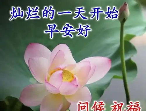 早早上好表情包借我