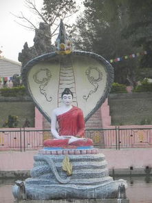  devisaraswatiinthemahabodhitemplecomplex菩提伽耶摩诃菩提寺的图片
