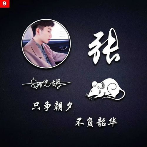  你的微信头像该换了,新款简约励志十二生肖签名头像,请带走吧