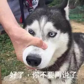  基于毕业设计的正确吐槽姿势探究