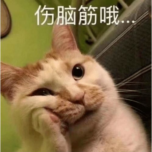  冷空气来袭,6