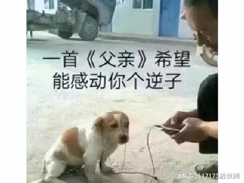 一战表情包虚假宣传