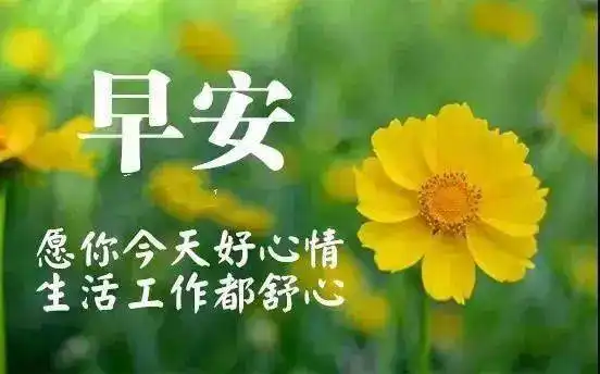  最新版非常漂亮的早上好表情图片温馨早安心语语录