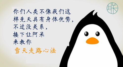  冰雪天安全小常识附带走路小技巧赶紧收藏