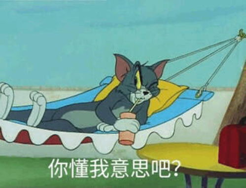  猫和老鼠表情包看什么看没见过学习啊