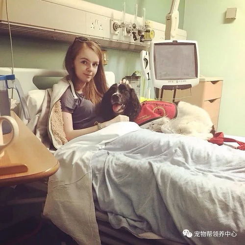  美丽少女心脏病插管治疗,狗狗来到病床前竟然这样做