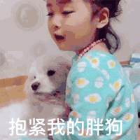  权律二表情包