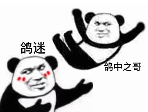  周杰伦周小公举表情包合集