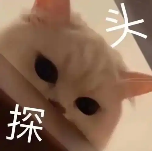 抱头 表情包沙雕