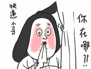  老微贷双十一过完了,双十二做好准备了吗