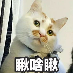  社会人必备的不是小猪佩奇而是它们日本最受欢迎的5款女士通勤包大安利