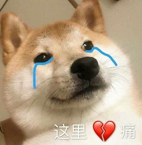  表情包图片关于我单身这件事,没有一个男人是无辜的