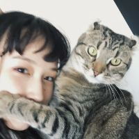  国外非主流抱猫头像微信头像图片大全