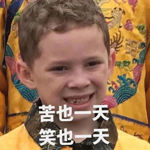  过去一星期最懂我的居然是一个表情包凤凰网甘肃凤凰网