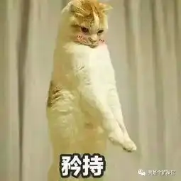  这不科学,喵星人的羞羞处怎么也透着萌