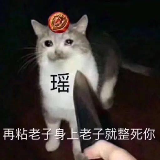  王者荣耀猫狗表情包