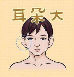  前运差后运好的面相