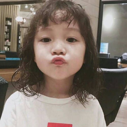  我的收藏夹收藏夹