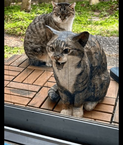  把猫咪生气的表情做成雕像,它看见后非常愤怒我哪有这样啊