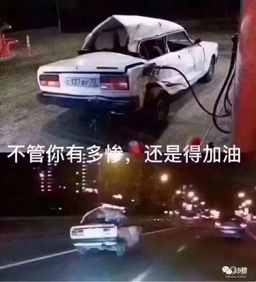  杭州女游客巴厘岛旅行被飞车党抢手机,接下来的一连串操作让她万万没想到