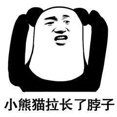 一战表情包小熊猫