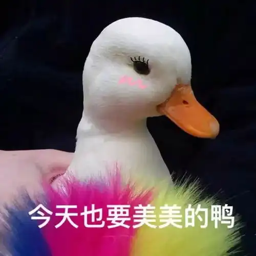  备婚攻略从时间规划到婚品准备....这里附上最全的干货清单
