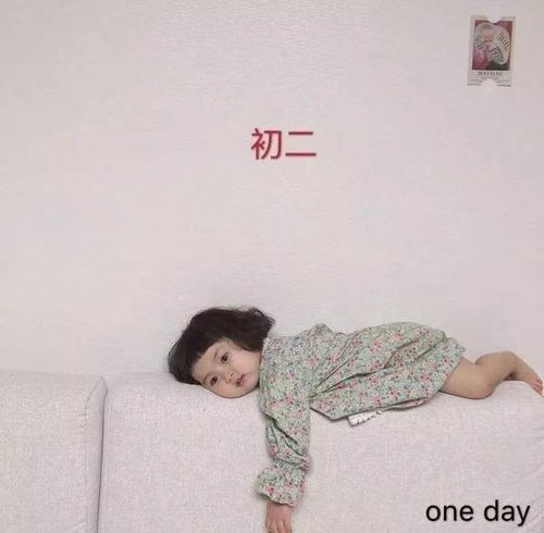  这些无情无疫的标语段子,一村更比一村强
