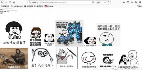  python开发个人专属表情包网站