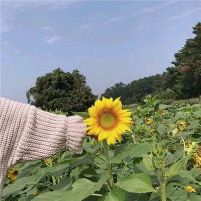  男人是不是真的爱你,先掂量一下这些表现,现实才是真理