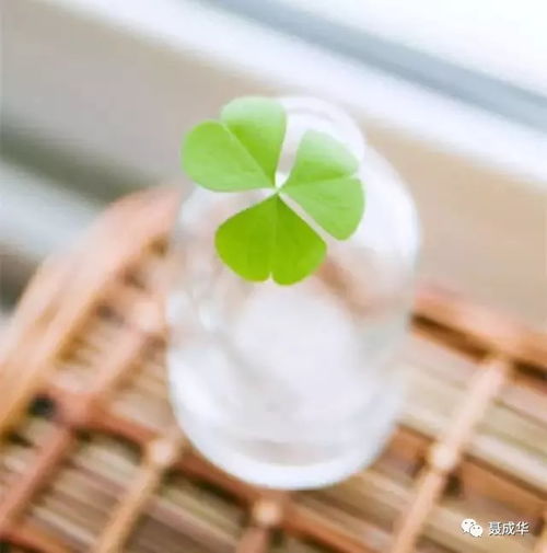  10篇读者卷首语,经典好文