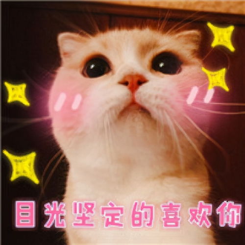  荒野健康女生长期跑步,身体会有哪些变化