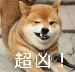  史上最全柴犬表情包合集来啦,约吗