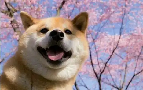  做个自由人