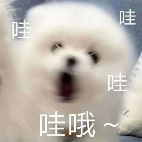 让人睡了就不想起来的梦中情枕,到底好在哪儿