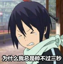  帅不过三秒什么意思