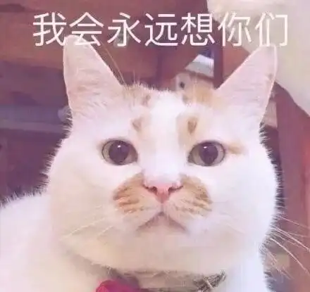  搞笑永远楼楼表情包,我哪也没去一直在你心里