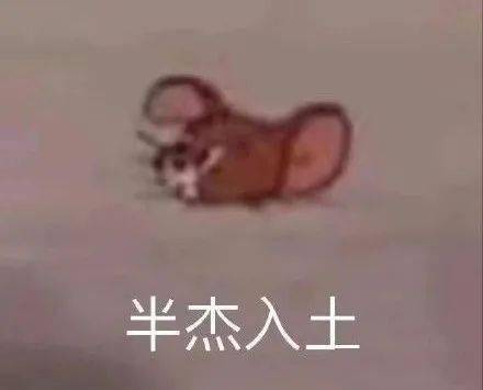  乘风破浪姐姐们全体水逆万茜右臂骨折,靠脸吃饭的她被手动毁容...