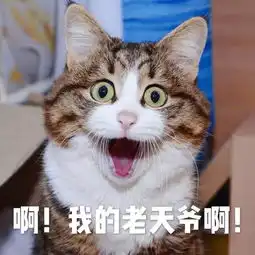  今晚雷阵雨或将来袭澄海下周将迎来雨高温蒸包子模式