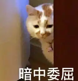  与其在家苦等通知,不如到现场与hr面谈连续三天招聘会等你来