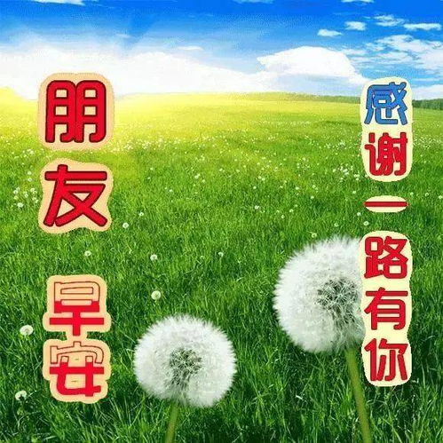  唯美聊天图片专辑