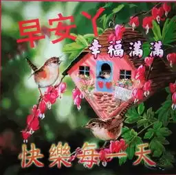  有什么微信小程序可以做这种照片