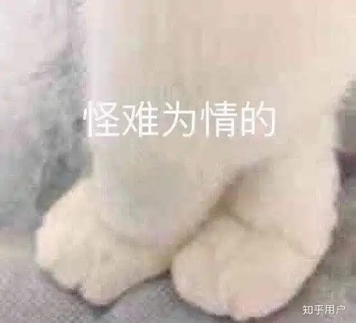 关于晚安的图片表情包熬