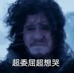 权力的游戏表情包凛冬将