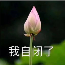 自闭表情包孤独症