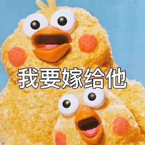  论娱乐圈粉丝的七大门派,你是哪一种