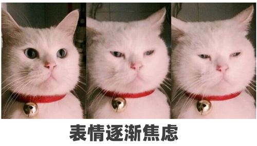  3岁前有这些表现,家长一定要重视严重缺乏可能影响大脑发育