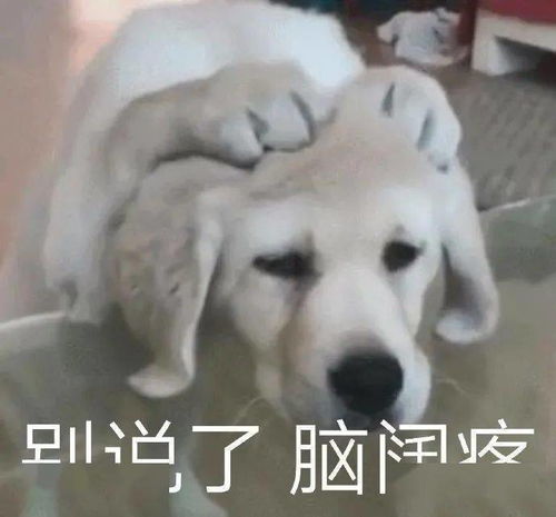  5块钱求你删了吧,我差点笑死在买家秀里哈哈哈笑疯了