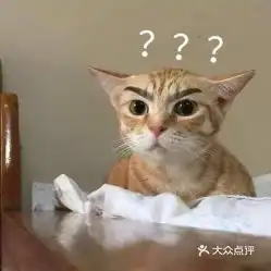 一只白猫旁边一个问号的